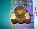 Brass Check Valve