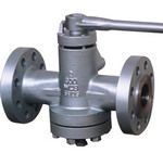 Plug Valve