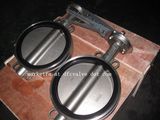 Center Line-Type Butterfly Valve