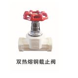 PPR Material Stop Valve for Water