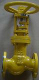Globe Valve