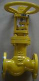 Globe Valve