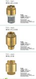 Brass Check Valve