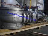 Gate Valve (30