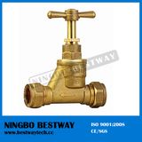 Economic Brass Stop Cock Valve for Water Pipe (BW-S10)