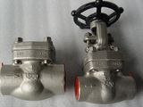 Forged Steel Gate Valve (Z61W)