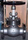 Ss304 ANSI Flanged Globe Valve