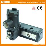 Electric Control Pilot Pistion Air Explosion Proof Solenoid Valve