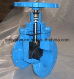 Bs 5163 Resilient Seat Non Rising Stem Gate Valve