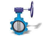 Butterfly Valve