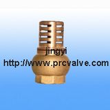 Check Valve (JY5006)