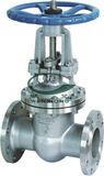 Flanged Gate Valve (Z41W-16P) 