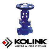 Bellows Seal Globe Valve (Screwed End)