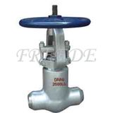 Power Station Gate Valve