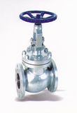 Globe Valve