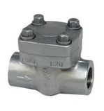 Vertical Non Return Valve