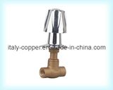 Brass Globe Valve with Plastic Handle (AV4006)