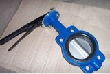 API 609 Center-Line Type Butterfly Valve