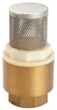 Brass Check Valve (YT-6001)