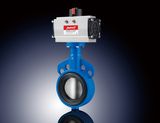 Pneumatic Cast Iron Butterfly Valve