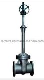 Bellow Gate Valve