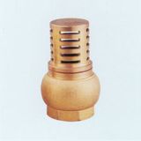 Brass Foot Valve (GD2901)