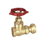 Toilet Flush Valve (FLN-G0015)