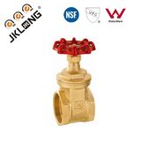 Pn16 Brass Gate Valve SGS Valve/ISO 228/1 Dn100