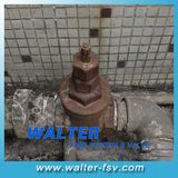 NPT Threaded Cast Iron Gate Valve