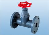 FRPP Globe Valve/FRPP Flange Type Globe Valve (J41X-6S)