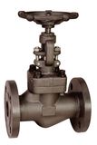 Forged Globe Valve