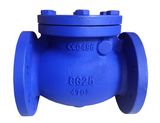 DIN Swing Check Valve