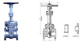 Cryogenic Gate Valve