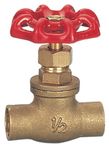 Brass Gate Valve (WSD-7012)