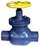 Ammonia Welding Type Stop Valve