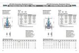 API 603 Corrosion-Resistant Cast Stainless Steel Globe Valve (Class 300)