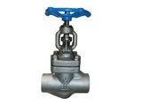 Butt-Welded Forged Globe Valve