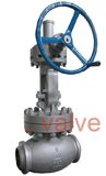 Butt Welded Globe Valve