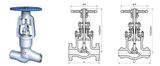 Class 600~2500 Pressure Sealing Globe Valve