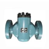 Cast Iron Forged API 6D Check Valve