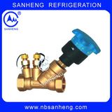 Jpf Series Motorized Static Balancing Valve