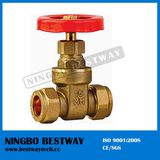 200wog Forged Brass Gate Valve with Prices (BW-G11)