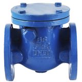 Cast Iron/Ductile Iron Bs Swing Check Valve