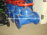 Enamelled Diaphragm Valve