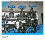 A105n ANSI Flanged Carbon Steel Forged Globe Valve