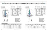 Cast Steel Globe Valve (Class 600/900)