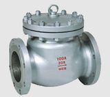 Swing Check Valve