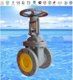 ANSI Flange Cast Iron Globe Valve with ISO9001 and API 6D