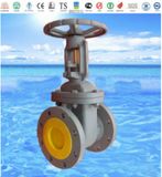 ANSI Flange Cast Iron Globe Valve with ISO9001 and API 6D