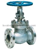 ANSI Globe Valve